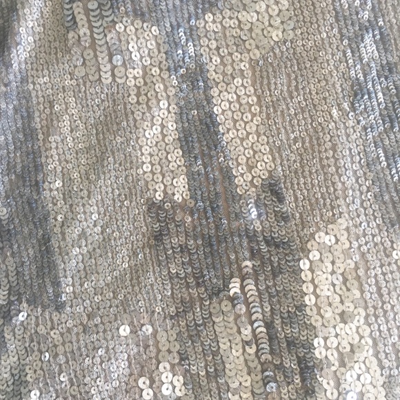 new Parker ❤︎ Sequin Sleeveless Evening Top ❤︎ Sheer Yoke Tank ❤︎ Silver Large - Picture 4 of 12